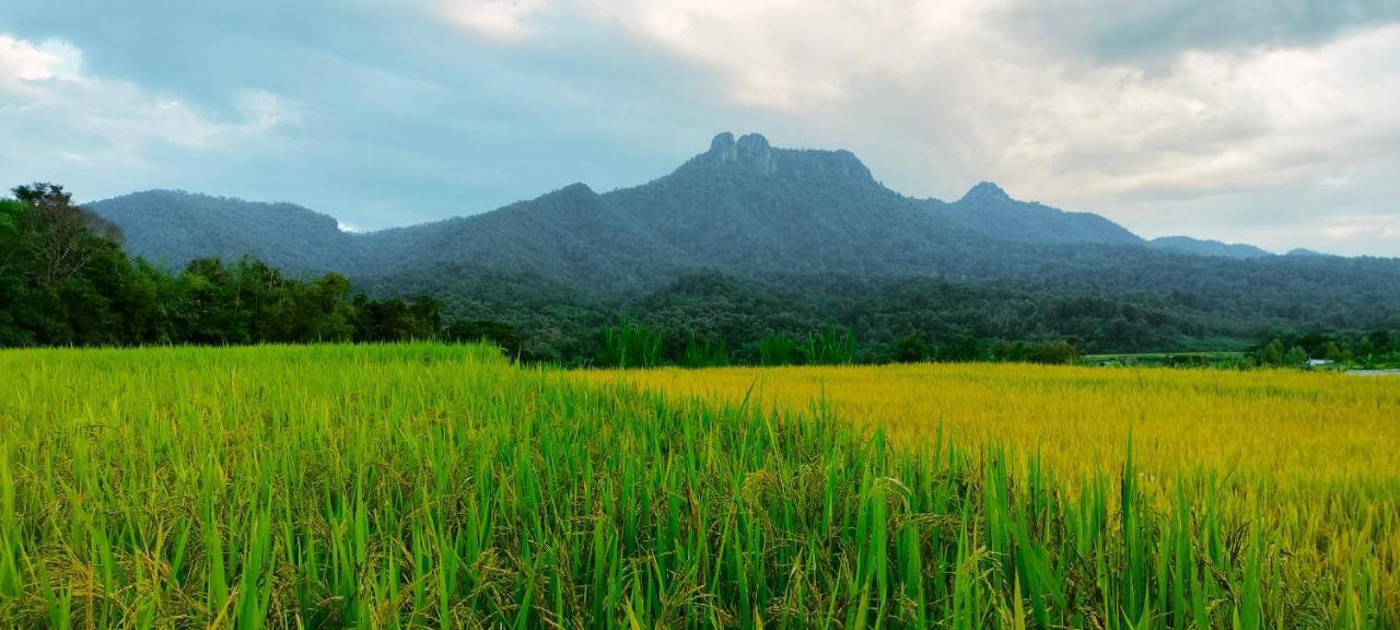 Vila Pimpisa Garden พิมพิศา การ์เด้นท์ Khuang Kom Exteriér fotografie